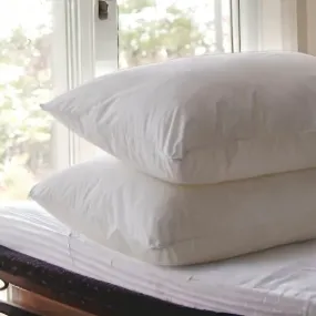 2 Pack Premium Cotton Faux Down Pillows Anti Allergy