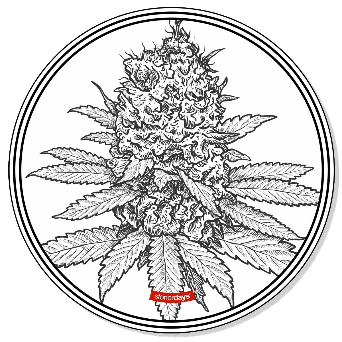 Beautiful Buds Creativity Mat Set