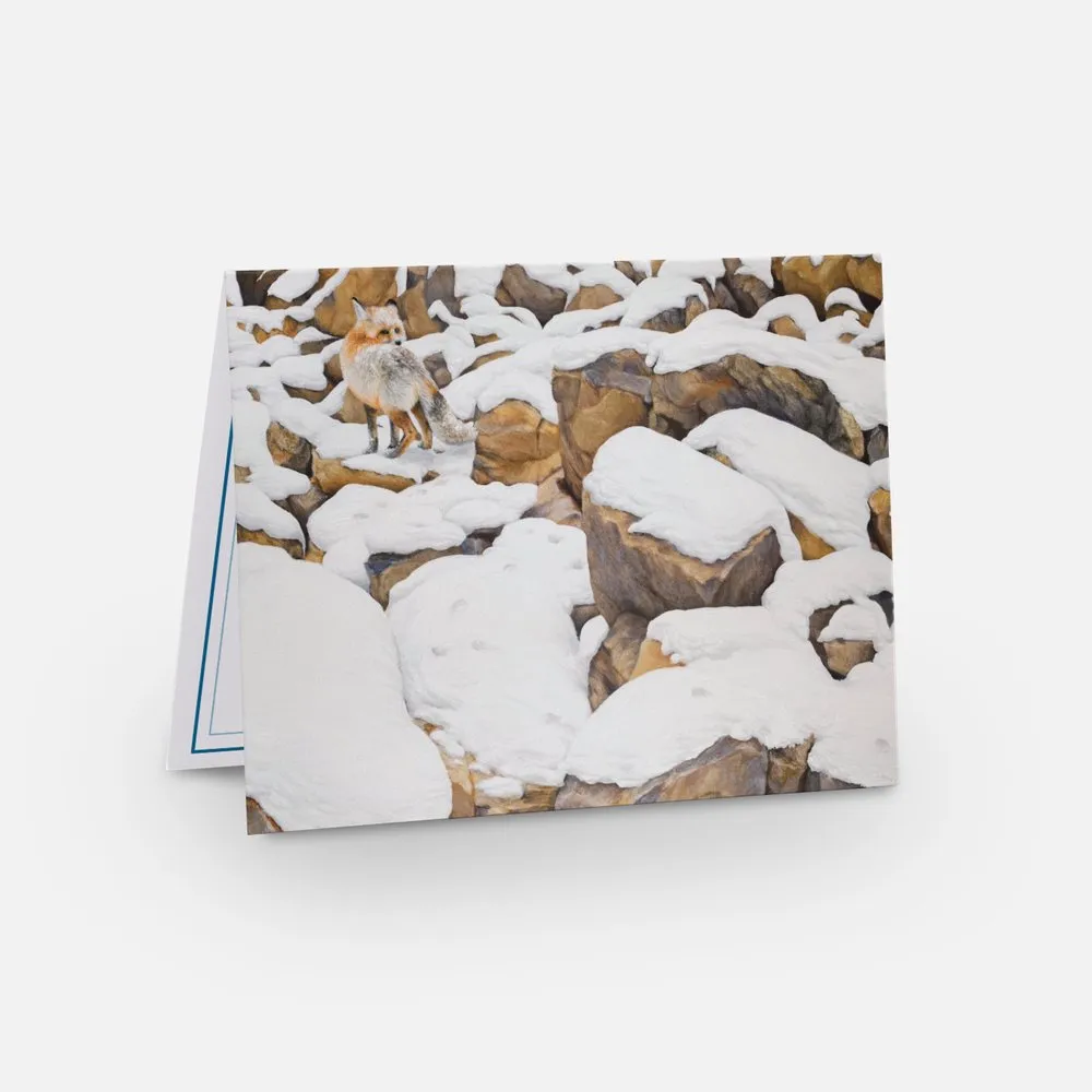 Fox Notecard Pack