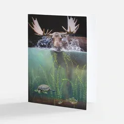 Moose Notecard Pack